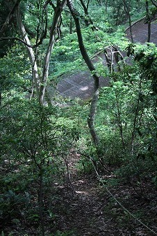 s-IMG_9119.jpg