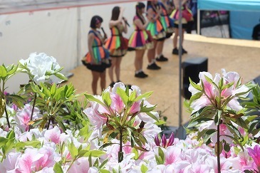 s-IMG_9150.jpg