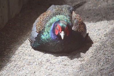 s-IMG_9157.jpg