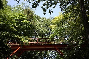 s-IMG_9175.jpg