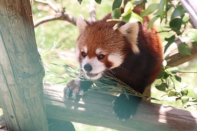 s-IMG_9207.jpg