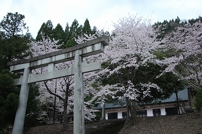 s-IMG_9212.jpg