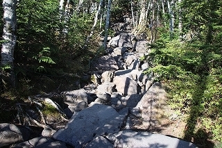s-IMG_9277.jpg