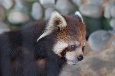 s-IMG_9357.jpg