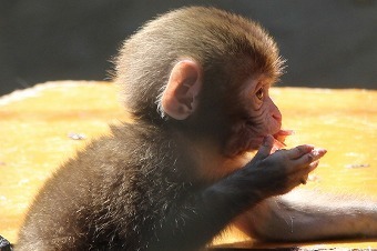 s-IMG_9372.jpg