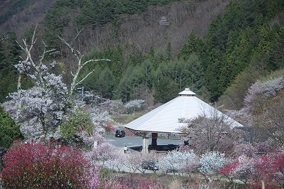 s-IMG_9385.jpg