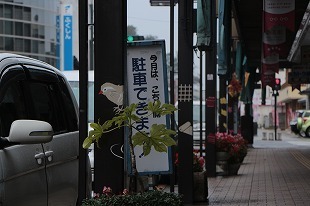 s-IMG_9393.jpg