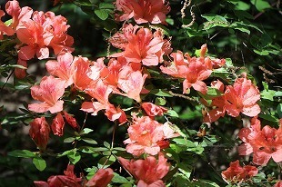 s-IMG_9400.jpg