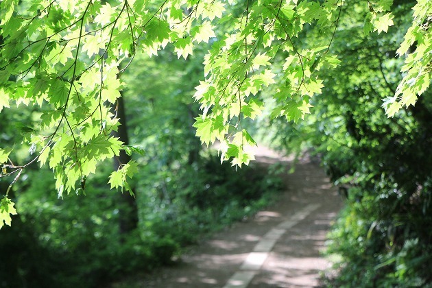 s-IMG_9402.jpg
