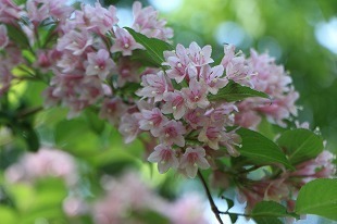s-IMG_9403.jpg
