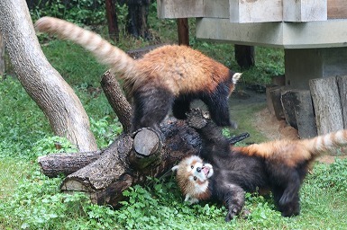 s-IMG_9433.jpg
