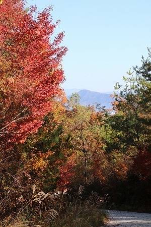 s-IMG_9454.jpg