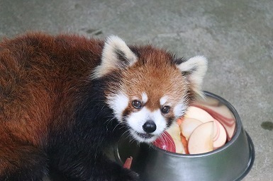 s-IMG_9480.jpg