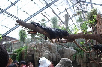 s-IMG_9498.jpg