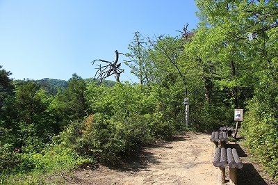 s-IMG_9501.jpg