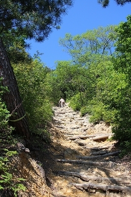 s-IMG_9509.jpg