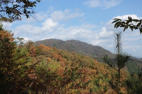 s-IMG_9532.jpg