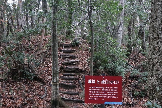s-IMG_9572.jpg