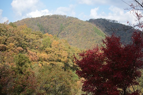 s-IMG_9582.jpg