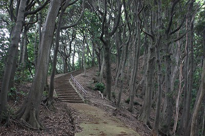 s-IMG_9597.jpg