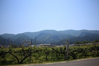 s-IMG_9682.jpg