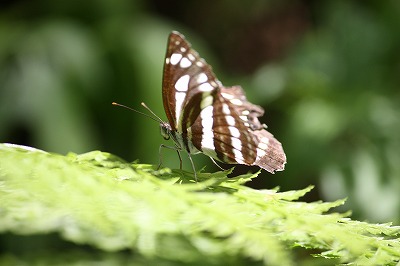 s-IMG_9804.jpg