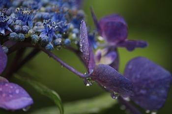s-IMG_9845.jpg