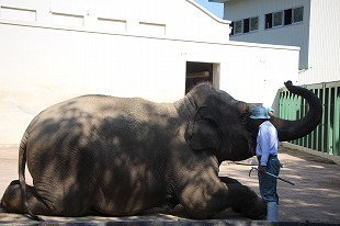 s-IMG_9849.jpg