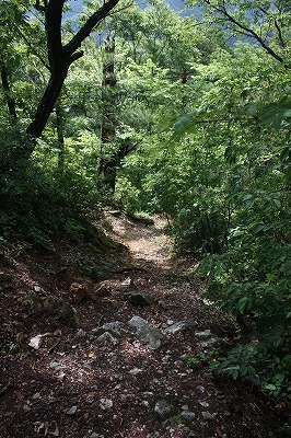 s-IMG_9873.jpg