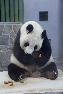 s-IMG_9886.jpg