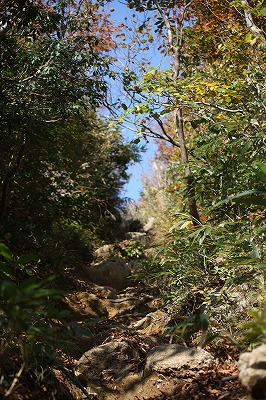 s-IMG_9906.jpg