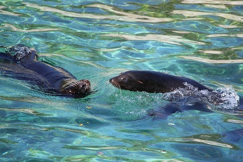 s-IMG_9912.jpg