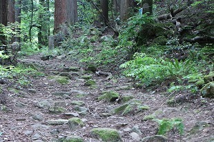 s-IMG_9922.jpg