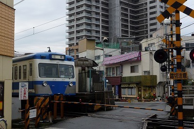 s-P1000946.JPG.jpg