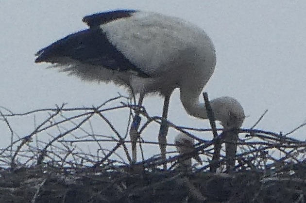 s-P1020150.jpg