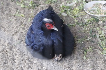 s-_MG_1844.jpg