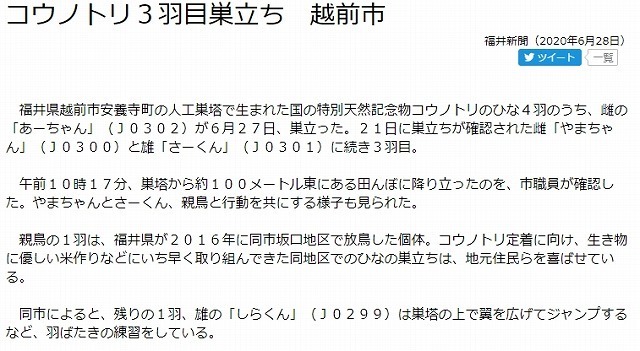 s-shinbun.jpg
