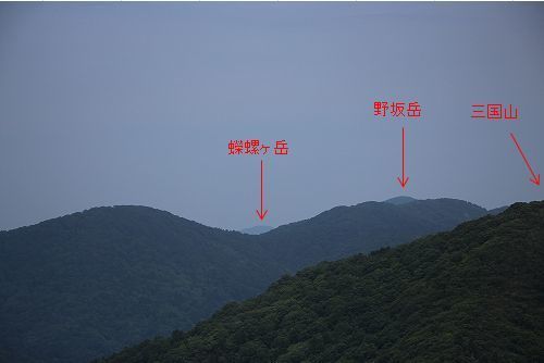 sazae.jpg