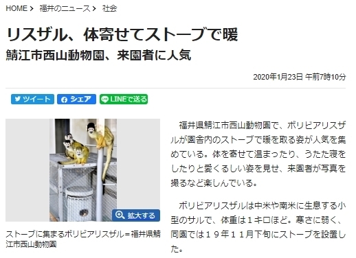 shinbun.jpg