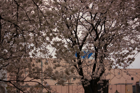 IMG_3962s.jpg